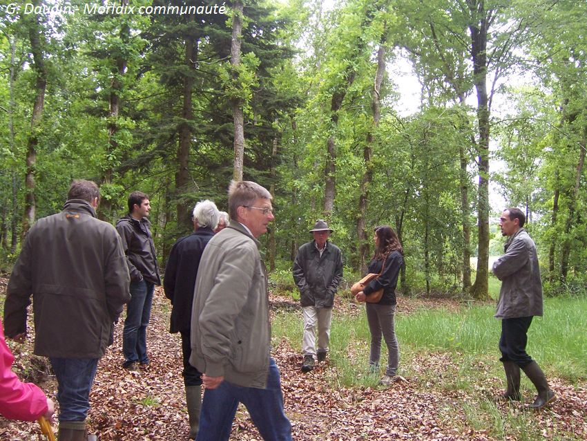 En forêt d'Encremer