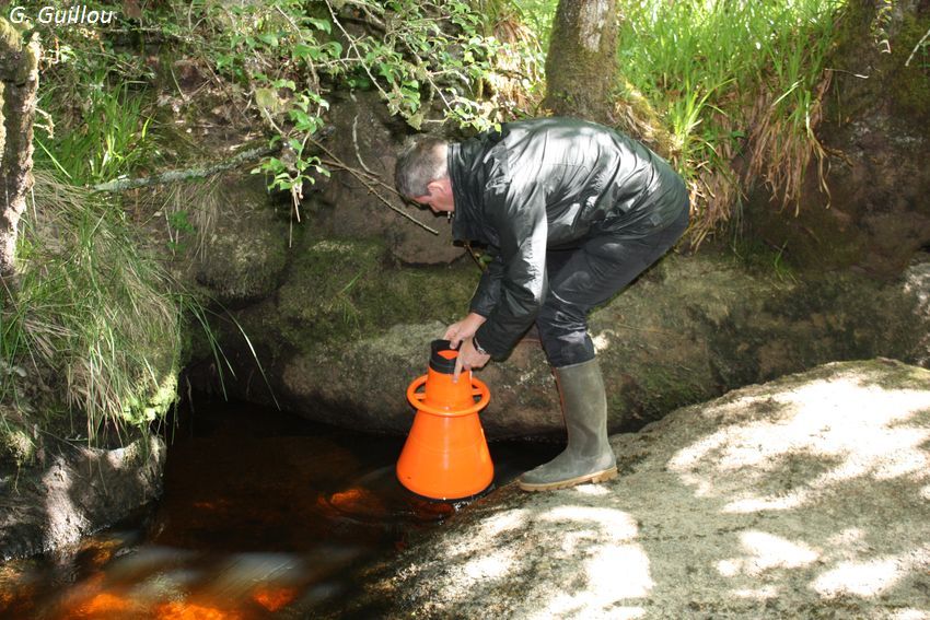 Observation des mulettes avec l'aquascope